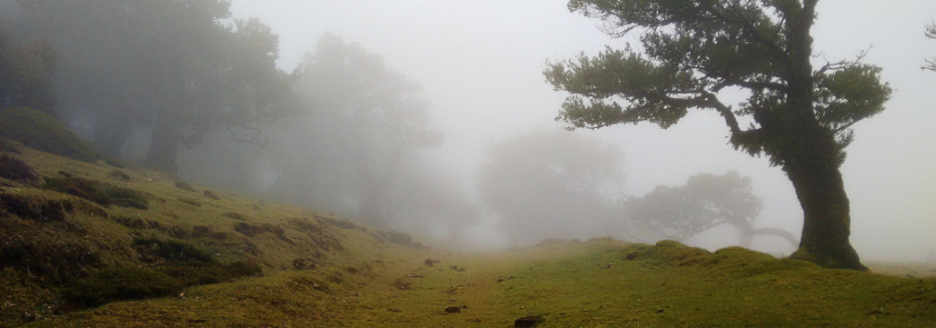 tutela ambientale